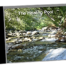 The Healing Pool CD Cover Photo