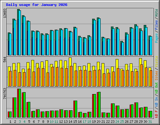 Daily usage for January 2026