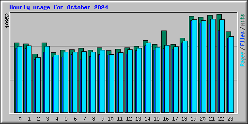 Hourly usage for October 2024
