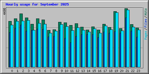 Hourly usage for September 2025