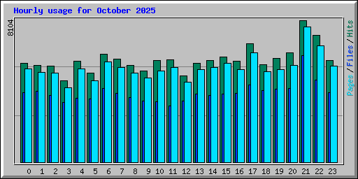 Hourly usage for October 2025