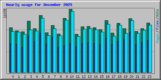 Hourly usage for December 2025