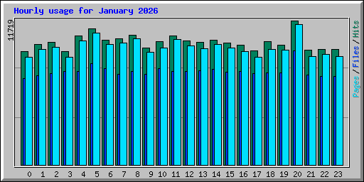 Hourly usage for January 2026