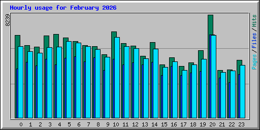 Hourly usage for February 2026